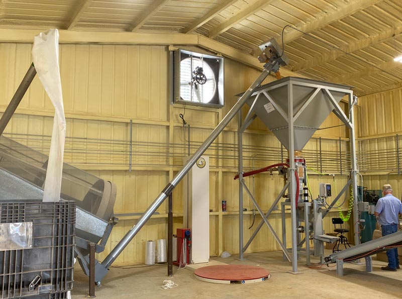 auger conveyor conveys shelled corn into surge hopper