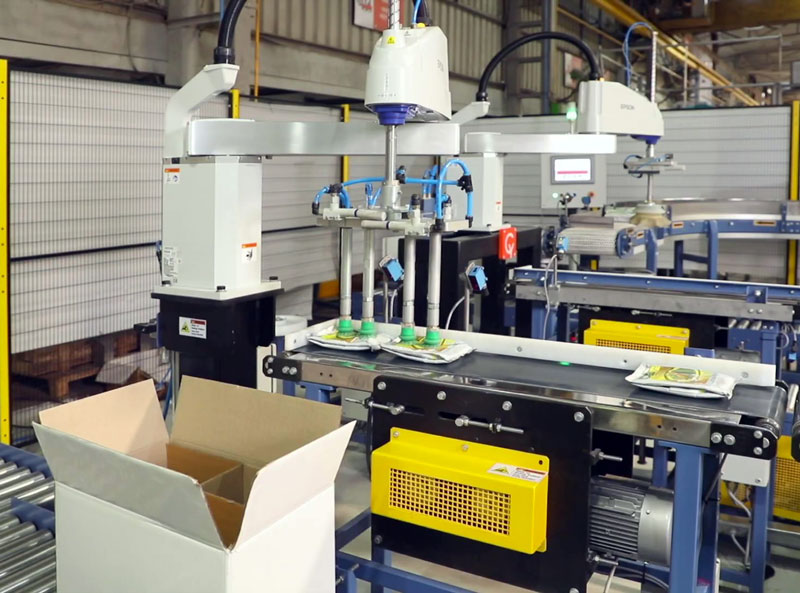 Robot packs cases and boxes with bags and pouches of dry pet food and treats