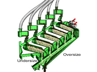 undersize and oversize particles to hoppers below