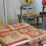 bag palletizing robot picks up and palletizes 50lb bags of creep cattle feed