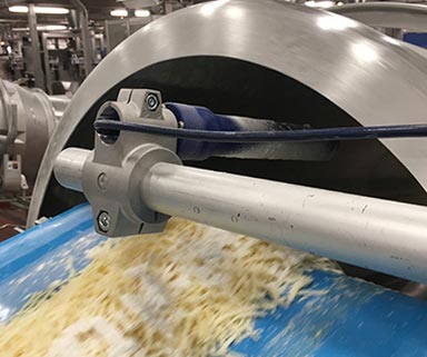 Electrostatic Coating System for Cheese Processing Flavoring 2