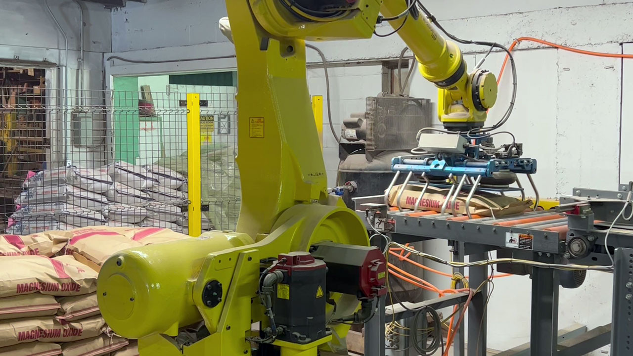 Packaging and Palletizing Line for Bags of Supplements