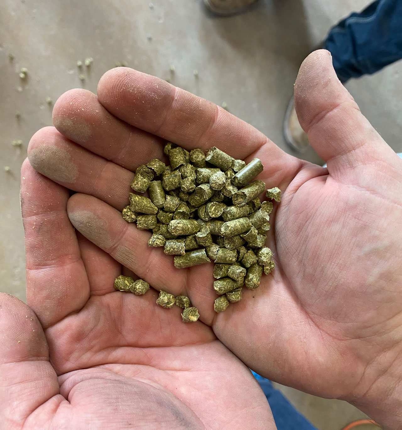 horse pellets or hay pellets for feed supplement