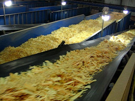 Vibrating Screen for Wet Wood Chips Vibrating Screen for Wet Wood Chips