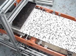 adding chocolate chips toppings evenly to food on conveyor with feeder spreader