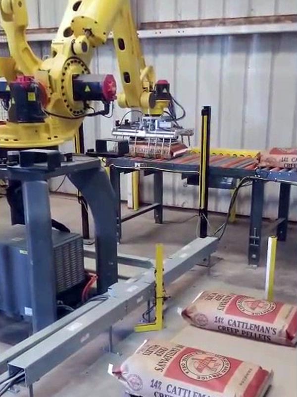 bag palletizing robot picks up 50lb bags of creep cattle feed pellets from pick conveyor