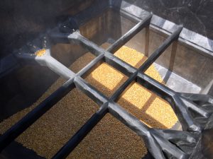 corn inside buckhorn probox bulk container