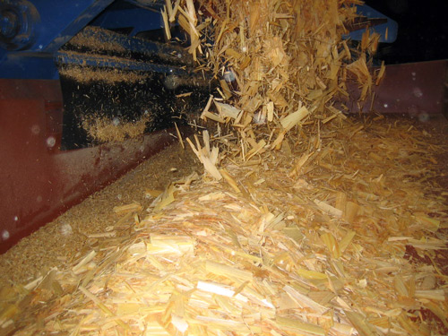 Screening Wood Chips Screened Wood Chips