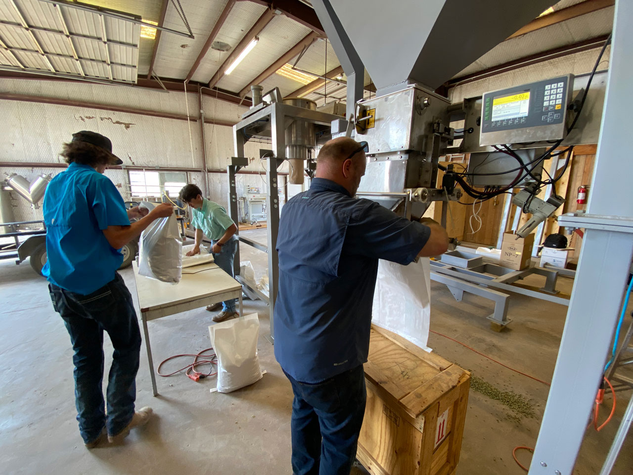 Placing a 25 lb. bag on the bagging machine while other operator transports filled bags to makeshift bag sewing station